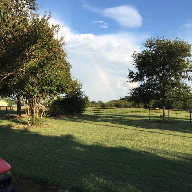 14068492_10153768389726120_1483849974450940828_o